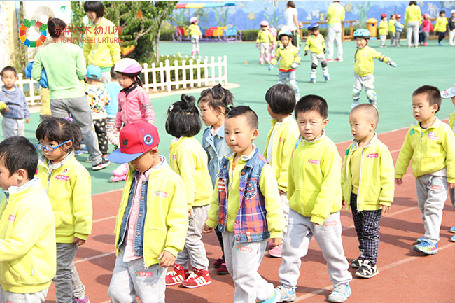 京华合木如何保证幼儿园加盟园德培（DAP）教学实施