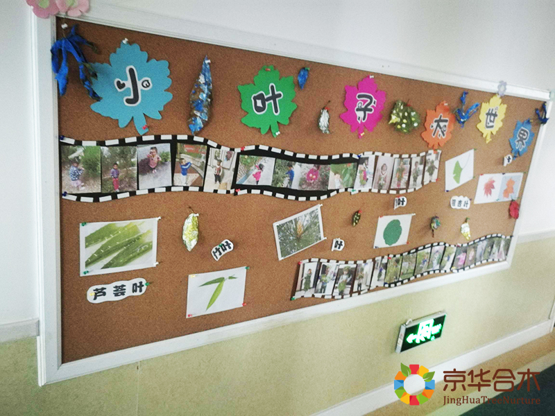 【中国教育报】答好幼有所育的时代新命题